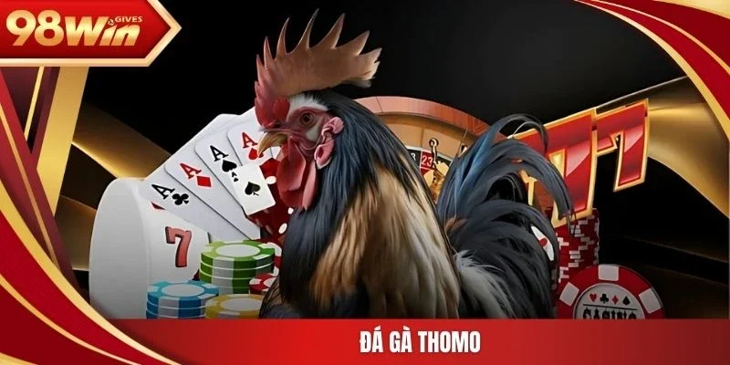 Đá gà thomo