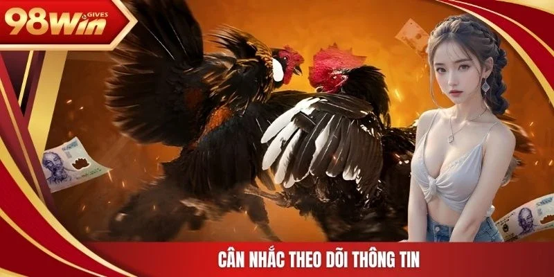 Cân nhắc theo dõi thông tin