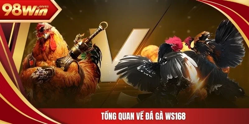 Tổng quan về đá gà WS168